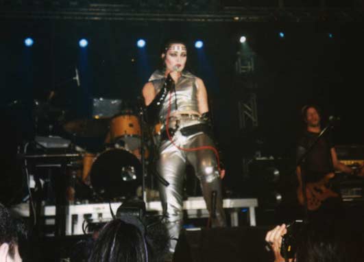 Siouxsie_live